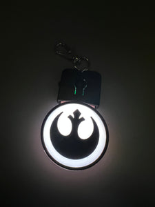 Mini light up keychain/dog tag